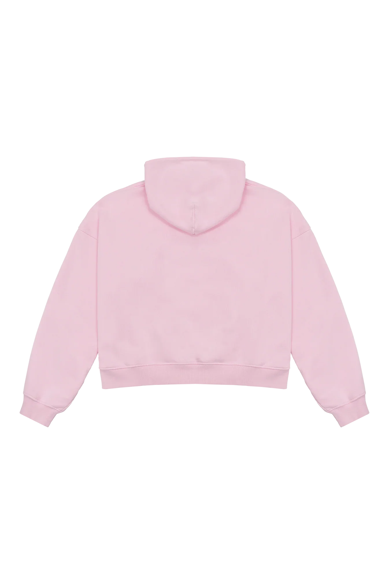 Zip Florida rose
