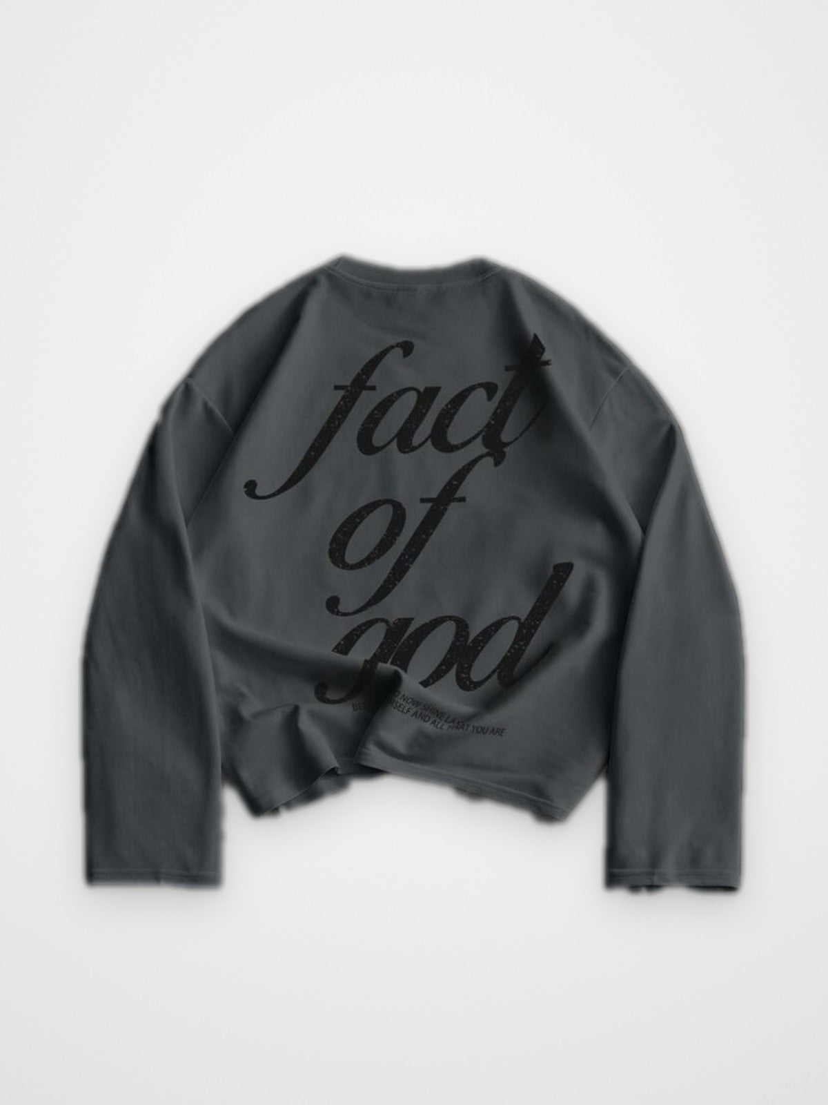 Fact Of God Embroidered Sweatshirt Charcoal | Obsyde